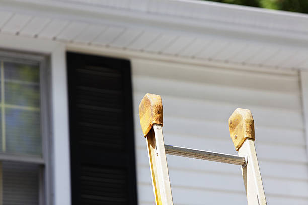 Best Demolition Debris Removal  in Despard, WV